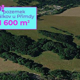 Prodej zemědělské půdy 1600 m² Přimda, Přimda, okres Tachov