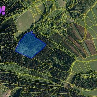 Prodej lesa 14596 m² Valašská Polanka, Valašská Polanka, okres Vsetín