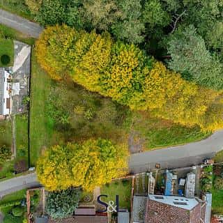 Prodej stavební parcely 860 m² Sosnová, Sosnová, okres Česká Lípa