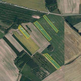 Prodej zemědělské půdy 9996 m² Milešín, Milešín, okres Žďár nad Sázavou