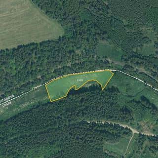 Prodej louky 4514 m² Bor, Bor, okres Tachov