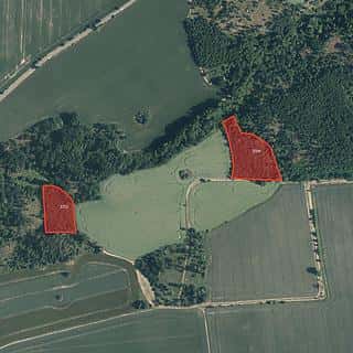 Prodej lesa 23194 m² Kryry, Kryry, okres Louny