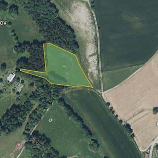 Prodej louky 6018 m² Zlatá Olešnice, Zlatá Olešnice, okres Jablonec nad Nisou