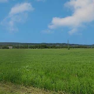 Prodej komerčního pozemku 10974 m² Rybník, Rybník, okres Ústí nad Orlicí