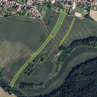 Prodej zemědělské půdy 52131 m² Laškov, Laškov, okres Prostějov