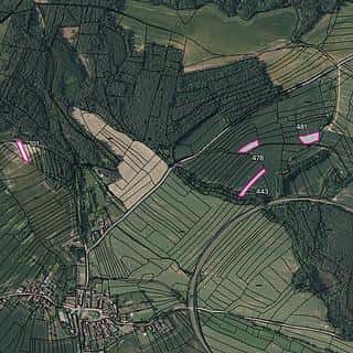 Prodej zemědělské půdy 6117 m² Mladotice, Mladotice, okres Plzeň-město