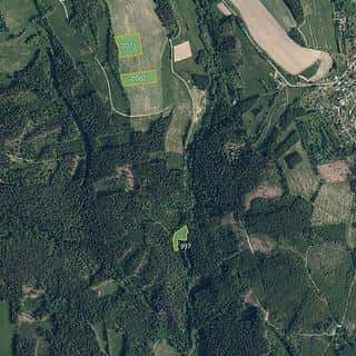 Prodej zemědělské půdy 19916 m² Jílové u Držkova, Jílové u Držkova, okres Jablonec nad Nisou