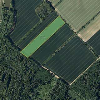 Prodej zemědělské půdy 29548 m² Věžky, Věžky, okres Kroměříž