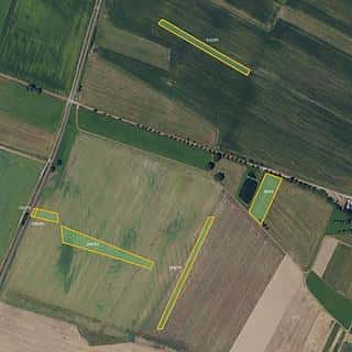 Prodej zemědělské půdy 15964 m² Světlá, Světlá, okres Blansko