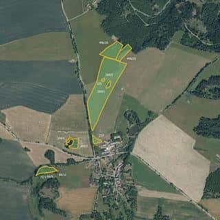 Prodej zemědělské půdy 104443 m² Planá, Planá, okres Tachov