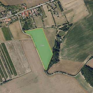 Prodej zemědělské půdy 8006 m² Kraborovice, Kraborovice, okres Havlíčkův Brod