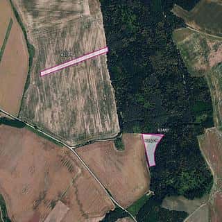 Prodej zemědělské půdy 6560 m² Džbánice, Džbánice, okres Znojmo
