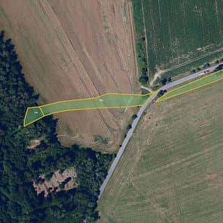 Prodej louky 5877 m² Proseč, Proseč, okres Chrudim
