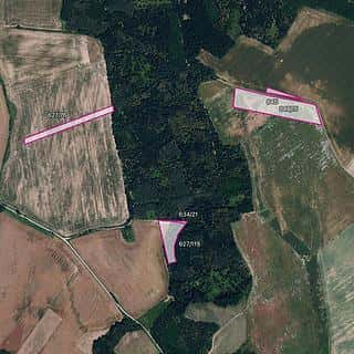 Prodej zemědělské půdy 24528 m² Džbánice, Džbánice, okres Znojmo