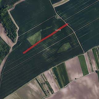 Prodej zemědělské půdy 10445 m² Násedlovice, Násedlovice, okres Hodonín