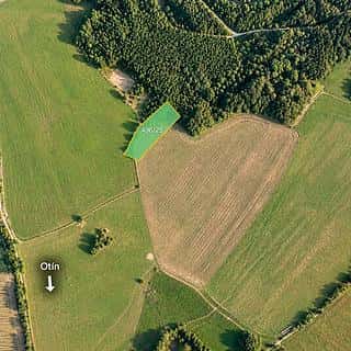 Prodej zemědělské půdy 6707 m² Planá, Planá, okres Tachov