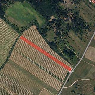 Prodej ostatních pozemků 1139 m² Znojmo, Znojmo