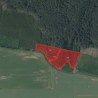 Prodej lesa 10814 m² Plasy, Plasy, okres Plzeň-město