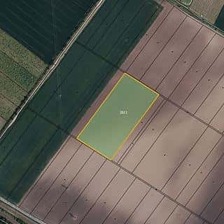 Prodej zemědělské půdy 30381 m² Popice, Popice, okres Břeclav