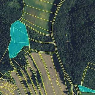 Prodej lesa 11901 m² Drozdov, Drozdov, okres Šumperk