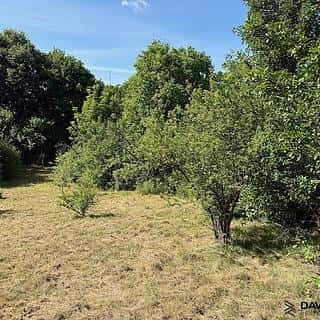 Prodej stavební parcely 475 m² Silůvky, Silůvky, okres Brno-venkov