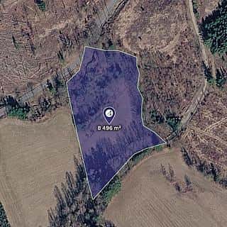 Prodej louky 8496 m² Prosetín, Prosetín, okres Žďár nad Sázavou