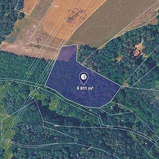 Prodej lesa 6911 m² Bojanovice, Bojanovice, okres Praha-západ