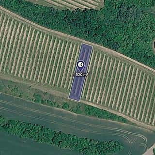Prodej zemědělské půdy 1520 m² Bulhary, Bulhary, okres Břeclav