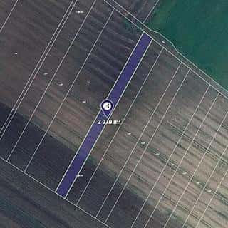 Prodej zemědělské půdy 2979 m² Smidary, Smidary, okres Hradec Králové