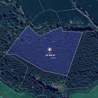 Prodej lesa 25533 m² Krouna, Krouna, okres Chrudim