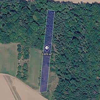 Prodej lesa 3075 m² Kounice, Kounice, okres Nymburk
