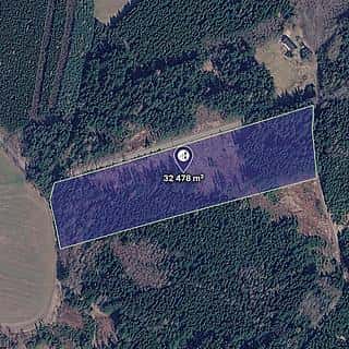 Prodej lesa 12302 m² Milevsko, Milevsko, okres Písek