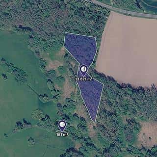 Prodej lesa 7026 m² Kravaře, Kravaře, okres Opava