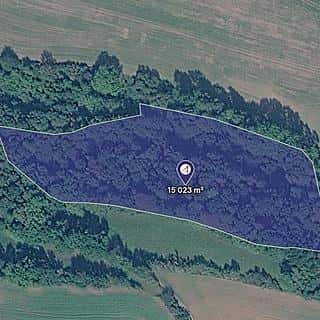 Prodej louky 15023 m² Městečko Trnávka, Městečko Trnávka, okres Svitavy