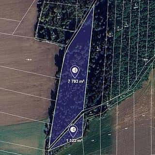 Prodej lesa 8915 m² Blížejov, Blížejov, okres Domažlice