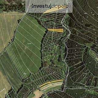 Prodej lesa 4290 m² Letovice, Letovice, okres Blansko