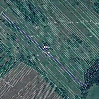 Prodej louky 2630 m² Javorník, Javorník, okres Hodonín