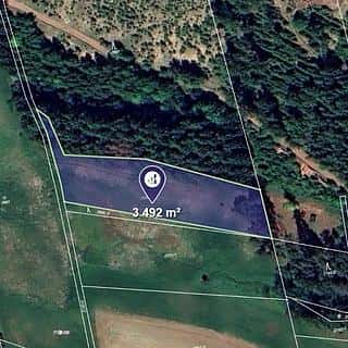 Prodej lesa 3492 m² Čistá u Horek, Čistá u Horek, okres Semily
