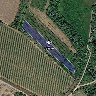 Prodej zemědělské půdy 2936 m² Popice, Popice, okres Břeclav