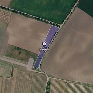 Prodej zemědělské půdy 7040 m² Popice, Popice, okres Břeclav
