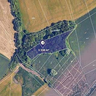 Prodej ostatních pozemků 4054 m² Dolany, Dolany, okres Kladno