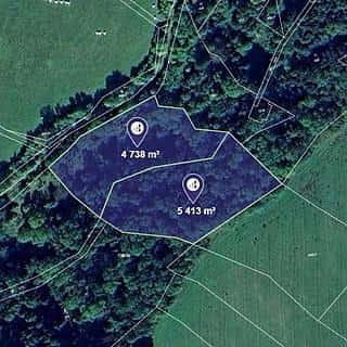 Prodej lesa 10151 m² Lovečkovice, Lovečkovice, okres Litoměřice