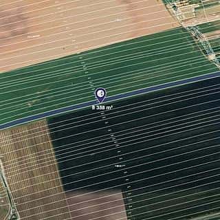 Prodej zemědělské půdy 4169 m² Čejkovice, Čejkovice, okres Hodonín