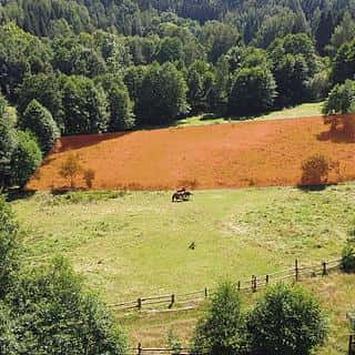 Prodej stavební parcely 3446 m² Olešnice v Orlických horách, Olešnice v Orlických horách, okres Rychnov nad Kněžnou
