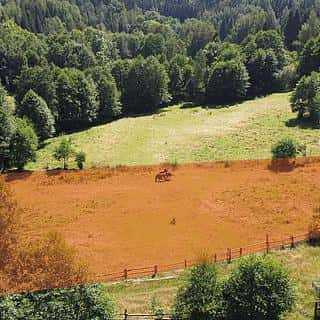 Prodej stavební parcely 3118 m² Olešnice v Orlických horách, Olešnice v Orlických horách, okres Rychnov nad Kněžnou
