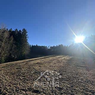 Prodej louky 15029 m² Bozkov, Bozkov, okres Semily