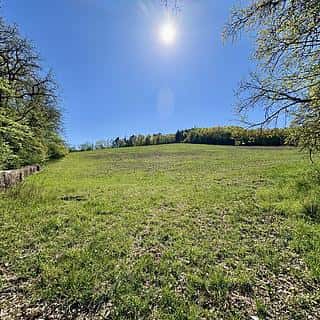 Prodej zemědělské půdy 60462 m² Úštěk, Úštěk, okres Litoměřice
