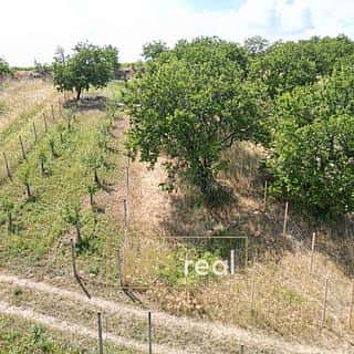 Prodej zemědělské půdy 358 m² Němčičky, Němčičky, okres Břeclav