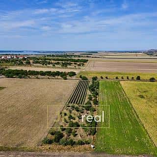 Prodej zahrady 1610 m² Šakvice, Šakvice, okres Břeclav