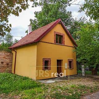 Prodej vinného sklepa 84 m² Hrušovany nad Jevišovkou, Hrušovany nad Jevišovkou, okres Znojmo